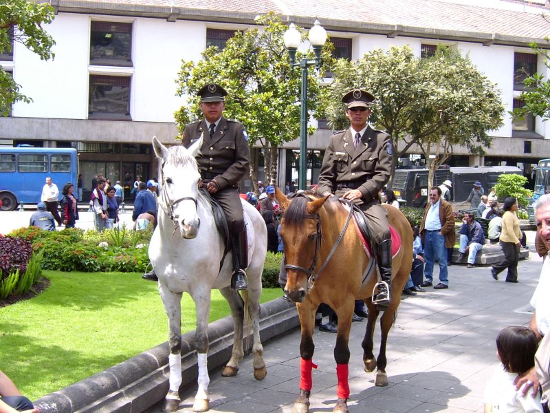 berittene Polizei